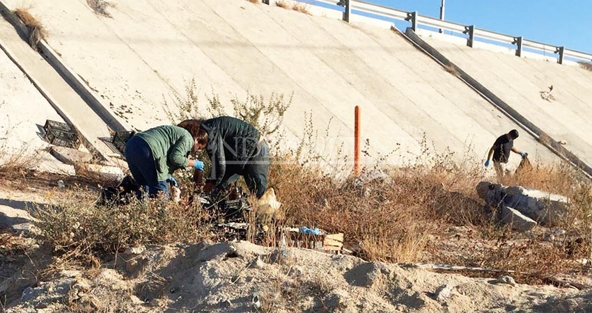 660 kilos de basura fueron retirados de El Tule