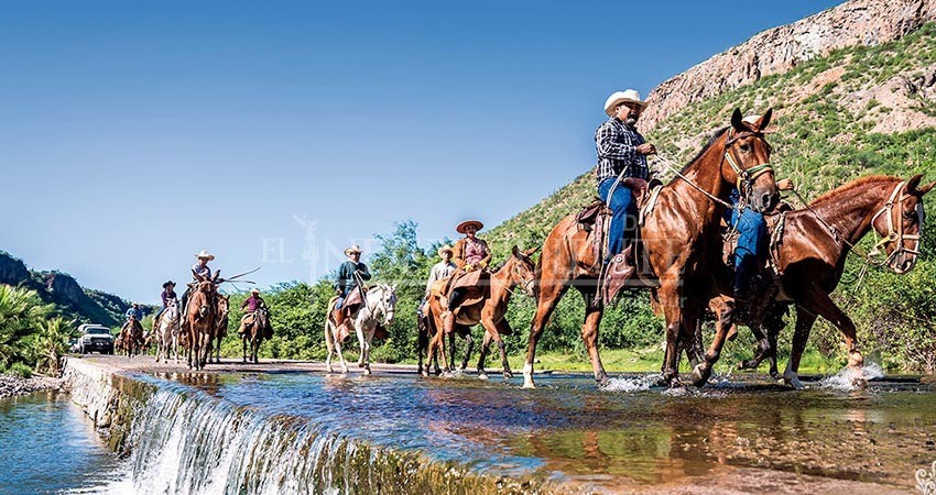 De Guerrero Negro a Los Cabos, filmaran producción basada en paisajes de BCS