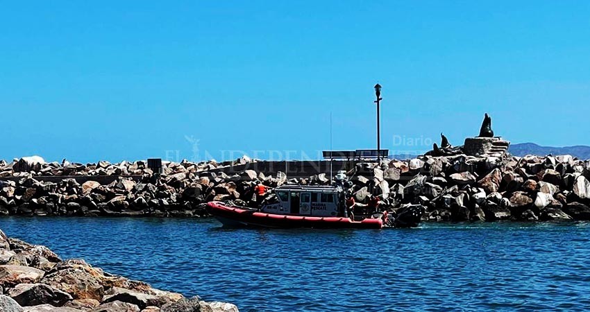 Pruebas genéticas corroboran que el cuerpo localizado en la bahía de Loreto corresponde al extranjero William “N”