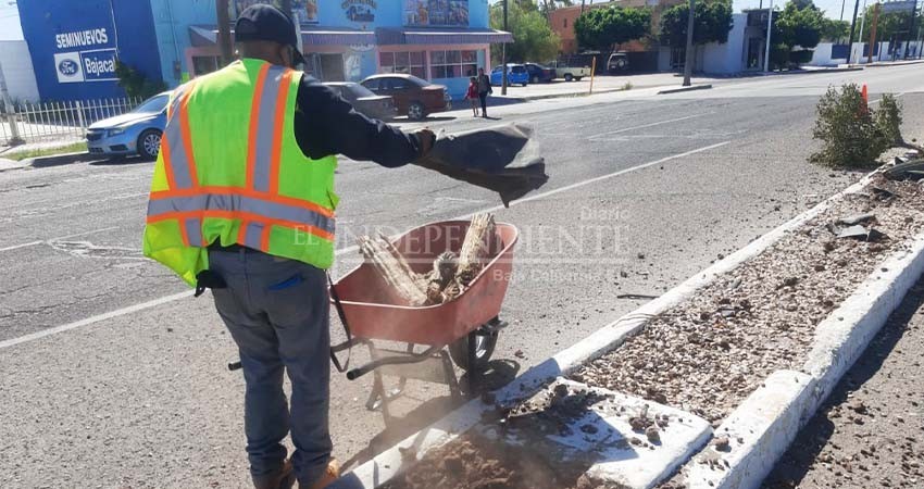Avanza Servicios Públicos en la limpieza de camellones de La Paz