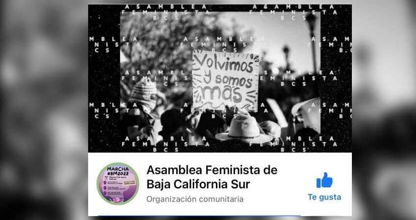 Investiga gobierno estatal tendedero virtual de feministas