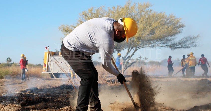 Estudiantes de la UABCS realizan práctica de quema controlada