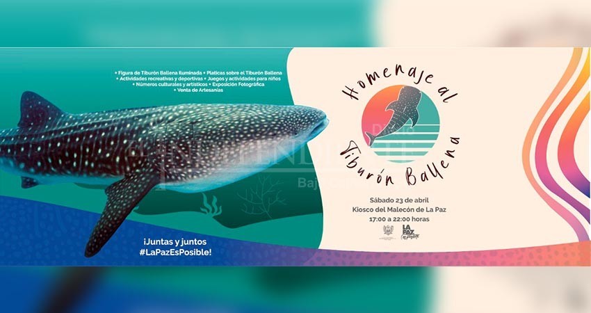 Con festival homenaje culmina temporada de Tiburón Ballena 2022