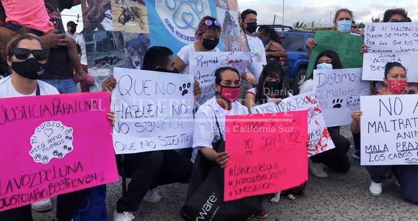 Sigue pendiente proceso para obtener justicia para la perrita "Luna"