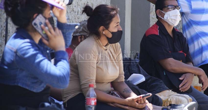 Muestra BCS panorama positivo ante Covid-19