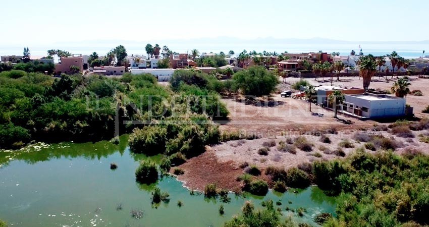 Crisis de la Planta de Tratamiento desborda aguas negras hacia colonias de Loreto; “ya es un problema sanitario”: vecinos