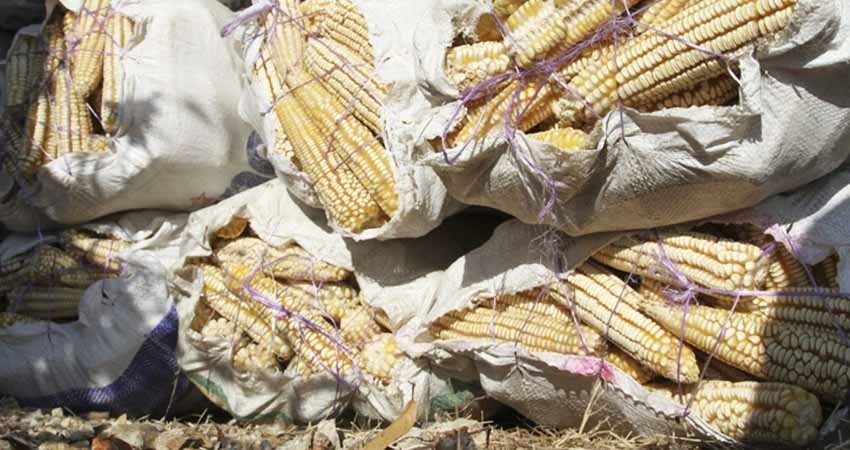 Recorrerá AMLO el país para echar a andar campaña de autoconsumo