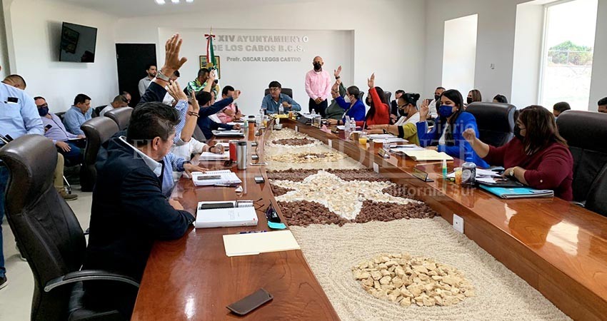 Aprueban reglamento interno para el Comité Municipal Red para la Protección de la Tortuga Marina