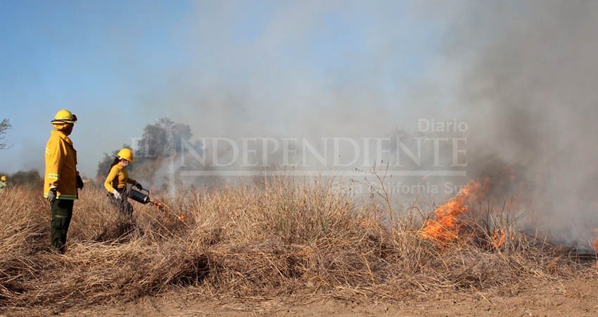 Estamos preparados para los incendios forestales: Antonio Agúndez