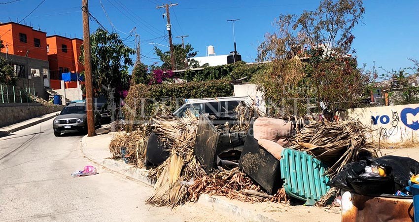 “Entre Gobierno y ciudadanía mantengamos limpio el municipio de Los Cabos”, pide Oscar Leggs