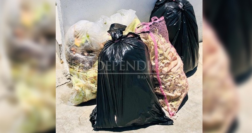 Denuncian a empleados de servicios públicos que cobran por recoger basura