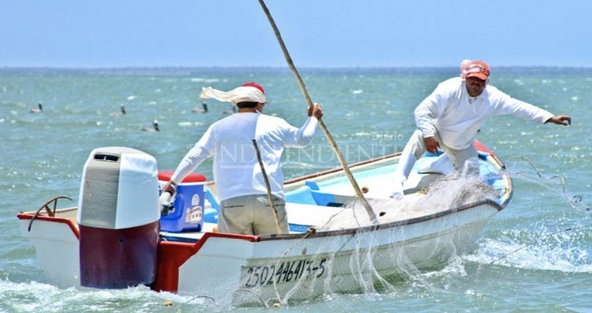 Sin titular Comité de Pesca de Los Cabos