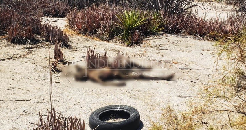 Localizan restos de una persona en estado de descomposición