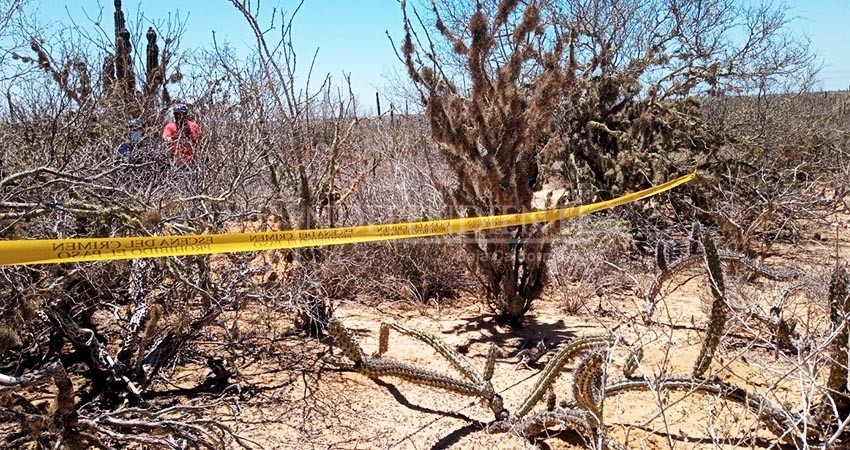 En Comondú y Los Planes, encuentran más restos óseos humanos