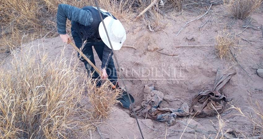 Comondú, el cementerio clandestino más grande de BCS