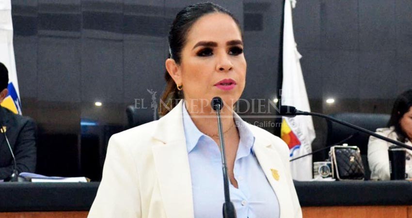 Antes de que concluya el periodo ordinario se discutirá la despenalización del aborto: Gabriela Montoya