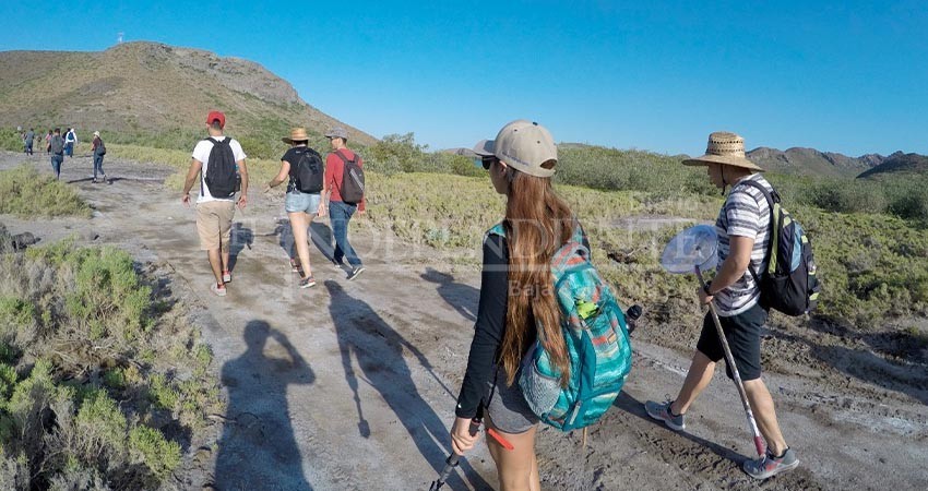 Ocupa BCS primer lugar nacional en formación de guías de turistas