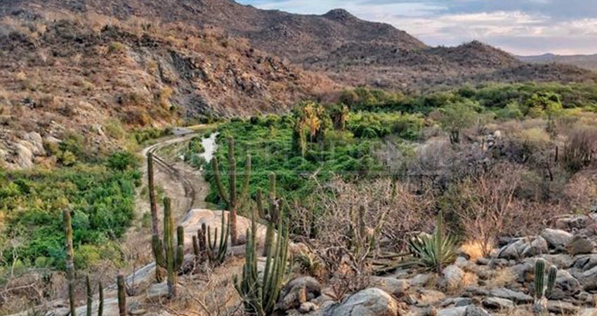 Invitan al “Safari Fotográfico” en el municipio de La Paz