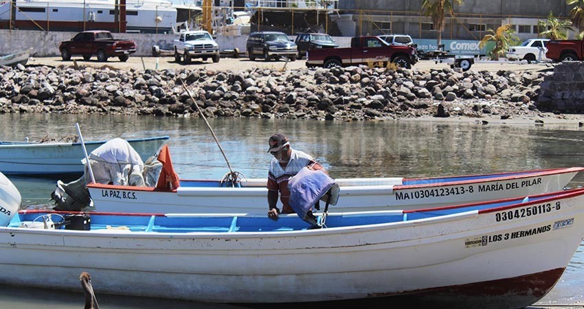 Avanza renovación de padrón de beneficiarios de seguro de vida para pescadores de BCS