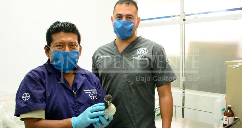 Unidad de Fauna Silvestre y Animales Exóticos de la UABCS