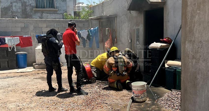 Mueren dos perros tras incendio en una casa