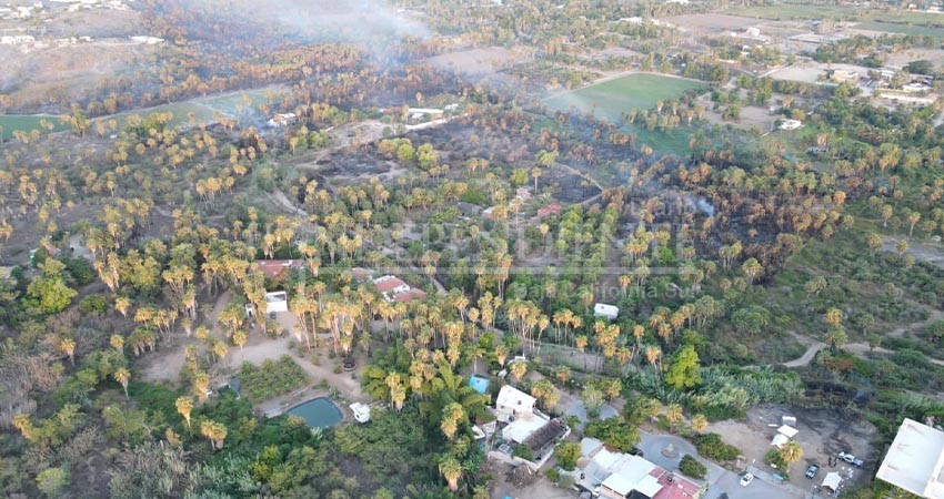 Culmina emergencia y entra en vigilancia permanente, zona de palmares en Todos Santos