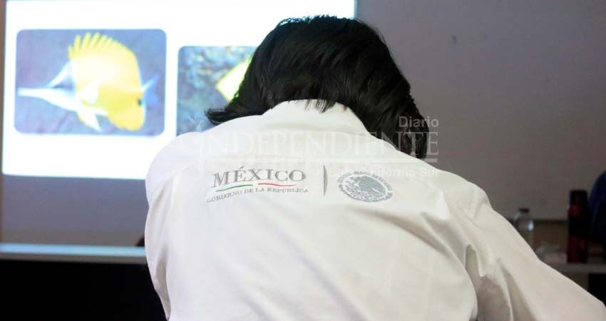 Contribuye UABCS al monitoreo ecológico de arrecifes en el Pacífico mexicano y Golfo de California