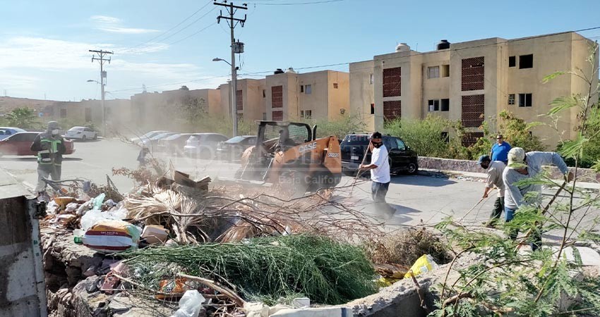 Realiza ayuntamiento La Paz campaña de limpieza en el Pedregal del Cortés
