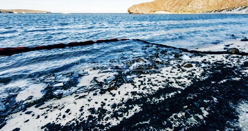 Responsables de ecocidio en Balandra pagaron limpieza, asegura gobernador