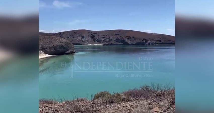 Critican ciudadanos postura tibia de ONG´s ante ecocidio de Balandra