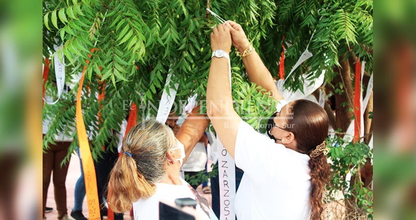 Familias de desaparecidos colocan “Árbol de la Esperanza” en parque de La Paz