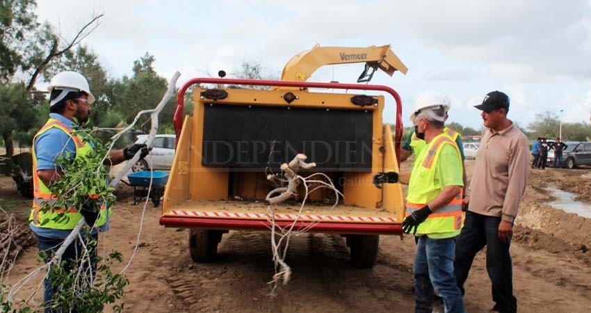 Complicado que podamos hacer recolección de basura vegetal: Milena Quiroga