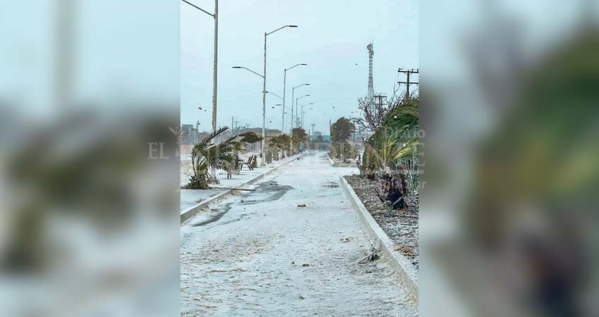 Abiertos los primeros centros de acopio para apoyar a damnificados del norte de BCS