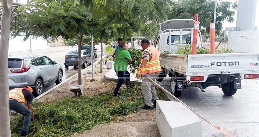 Servicios Públicos rehabilita vialidades y caminos rurales en CSL