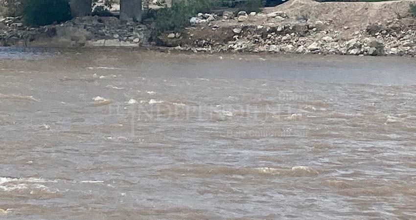 “Lluvias en el municipio de Los Cabos han dado fin a la sequía’’: director de Desarrollo Rural Leonel Cota Cárdenas