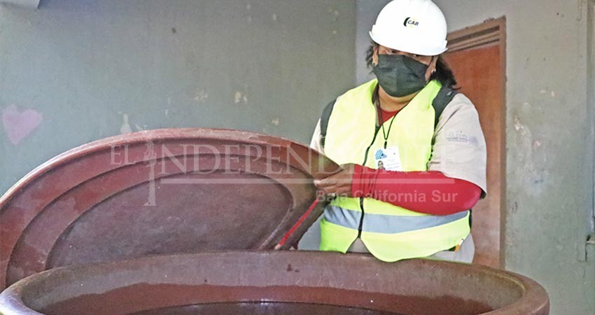 Acuerda Comité de Salud, campañas de descacharrización con Ayuntamientos para prevenir el dengue