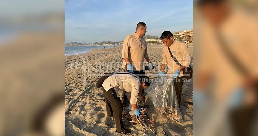 Celebra Zofemat Los Cabos “El Día Internacional de la Limpieza de Playas”
