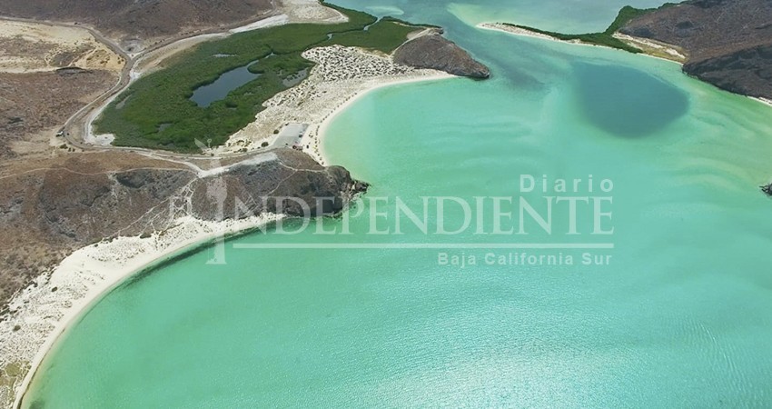 Desconoce la alcaldesa de La Paz fecha para la reapertura de playa Balandra