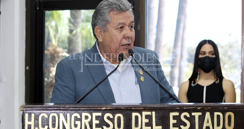 Solicitud de licencia de Pérez Cayetano no se concederá en automático: Avilés Castro