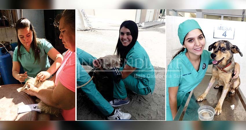 Participa UABCS en jornada nacional de vacunación antirrábica coordinada por la SSA