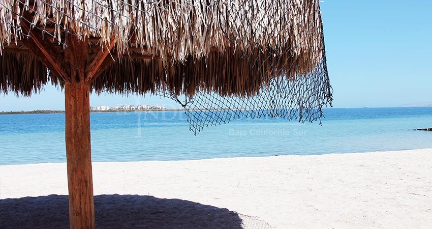 Promoverán a BCS como destino de nómadas digitales