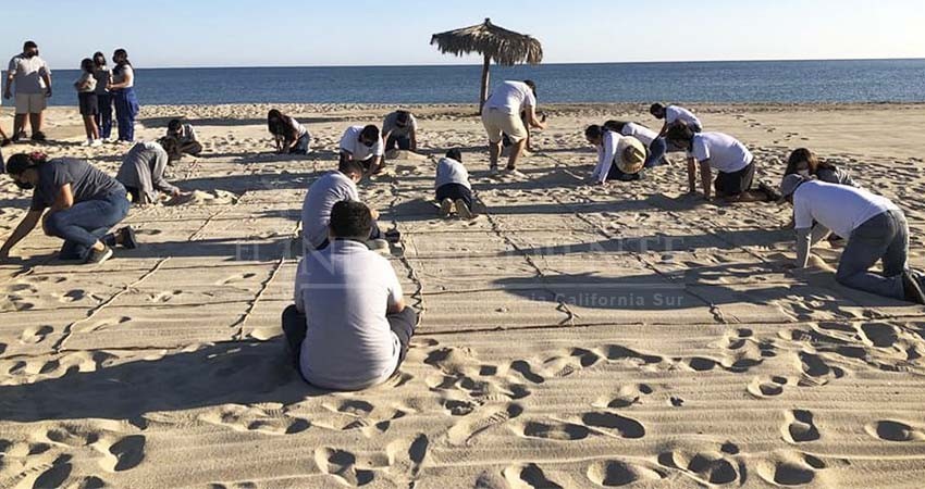 Construye Zofemat Los Cabos consciencia ambiental en la conservación de las playas y su entorno