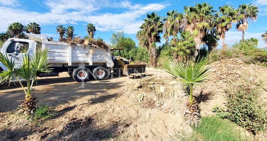 Continúa Ecología y Medio Ambiente con la limpieza del Estero josefino