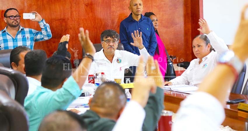 Aprueba Cabildo Los Cabos reglamento municipal para prevenir y erradicar el trabajo infantil