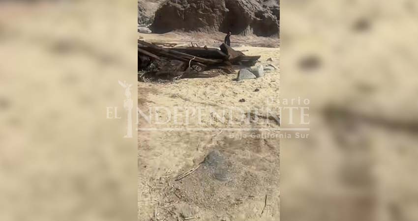 Desde el fondo del mar surge embarcación en la costa de CSL