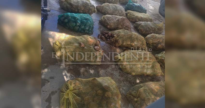 Inicia FGR investigación por delito contra la biodiversidad en BCS