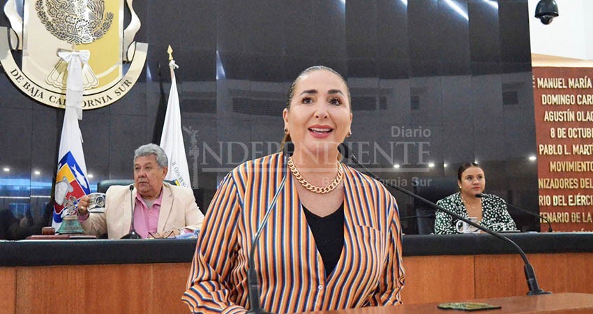 Propone diputada Palacios obligatoriedad para que el Estado y Ayuntamientos destinen mayores recursos para obras públicas en zonas rurales