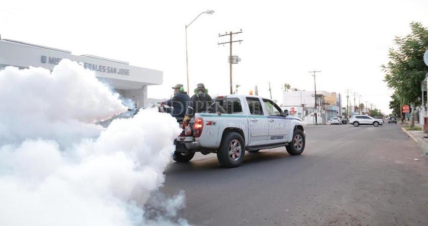 Advierte la SSa que circula en BCS serotipo de dengue de mayor riesgo