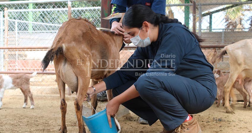Cuerpo académico de la UABCS trabaja en estudio sobre turismo, género y biodiversidad en zonas rurales