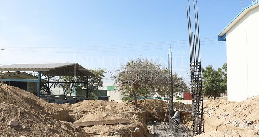 Casi 7 MDP se invirtieron en el programa hidroagrícola para Mulegé